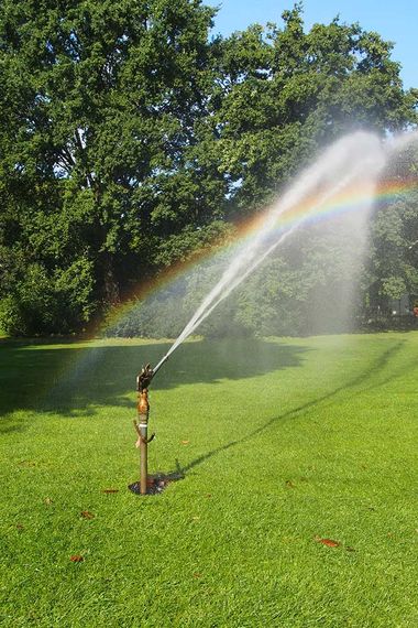 Rasensprenger, Bewässerung im Tiergarten, Berlin