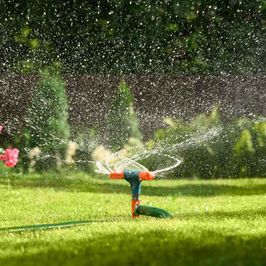 Bewässerung des Gartens mit einem Schlauch im heißen Sommer. Nahaufnahme.